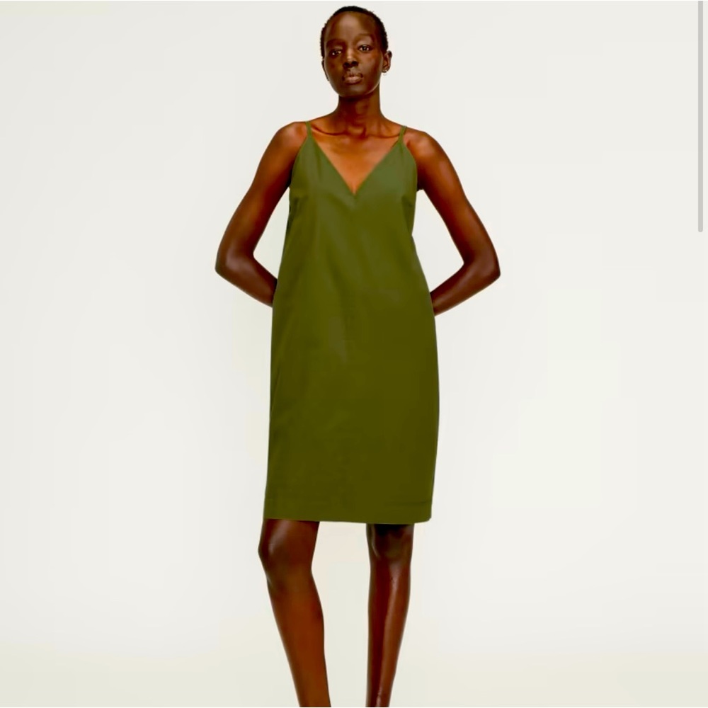 Everlane poplin dress